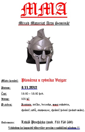 MMA_11_12